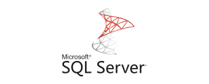 vendor-sql-server